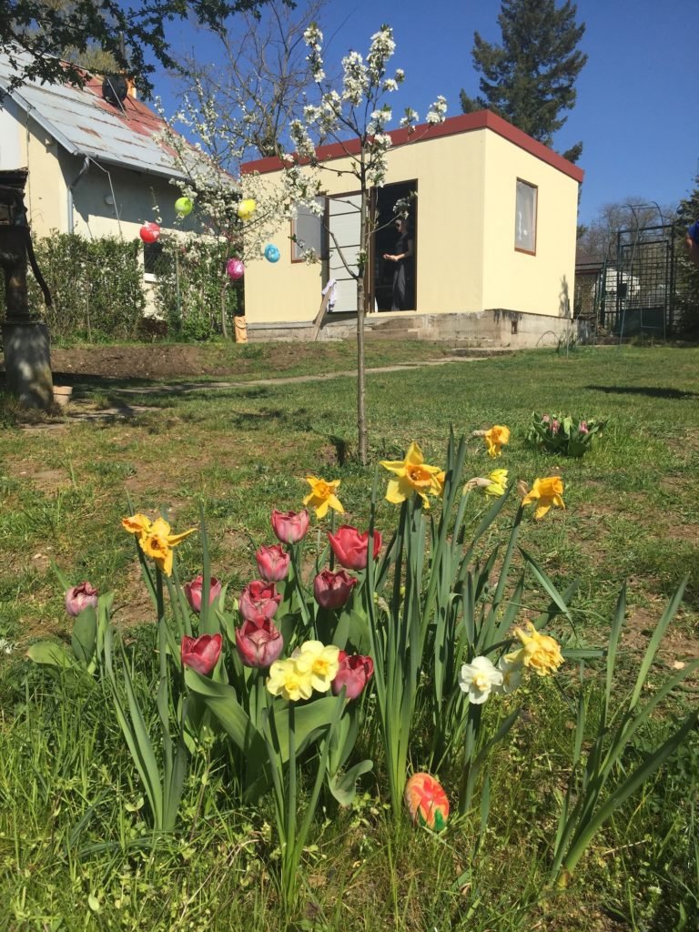 Farebné kvety pred záhradným domčekom
