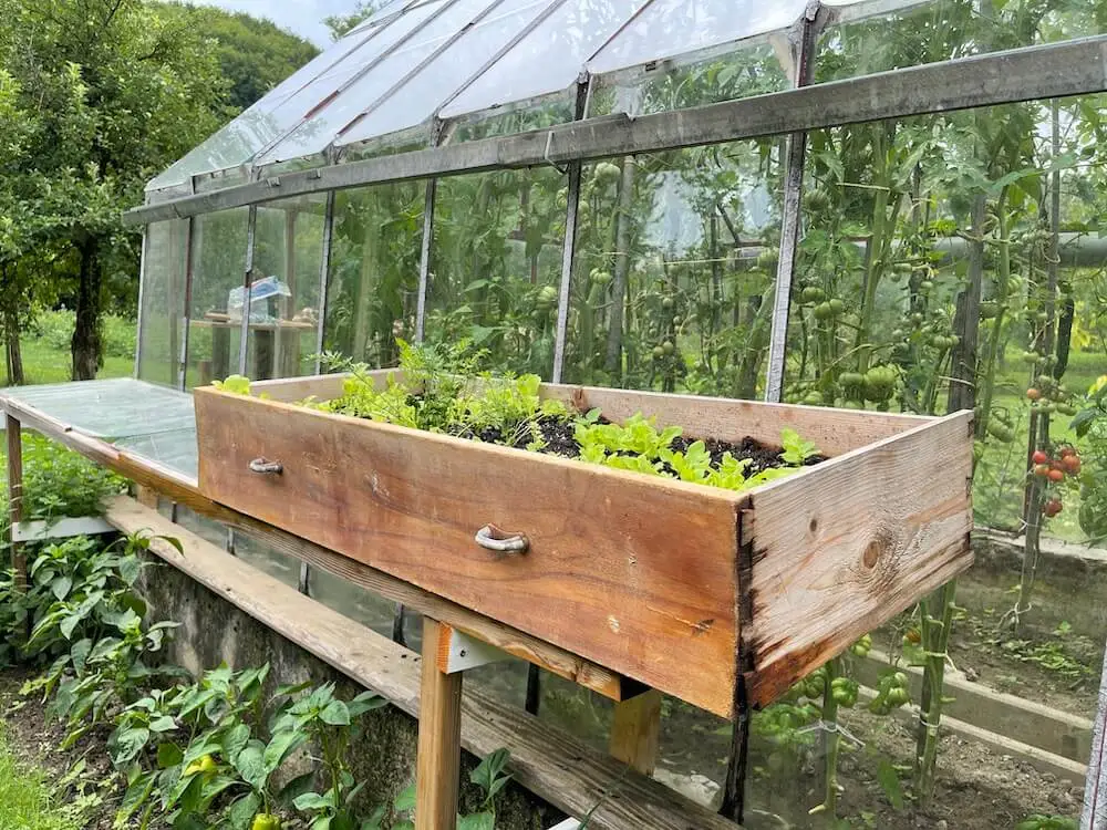 Opretý šuflík použitý na pestovanie