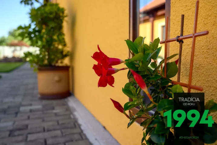 Rastliny pri atypickej stavbe v žltej omietke