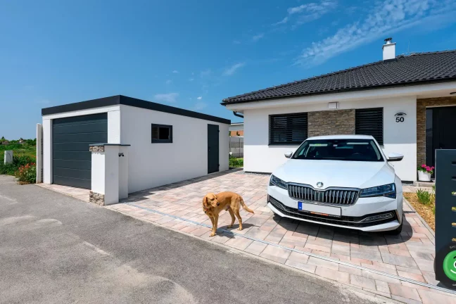 GARDEON garáž pre jedno auto s doplnkami antracit pes pred bránou