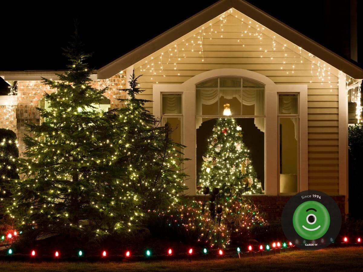 Vianočné stromčeky a okolie domu ozdobené svetielkami.