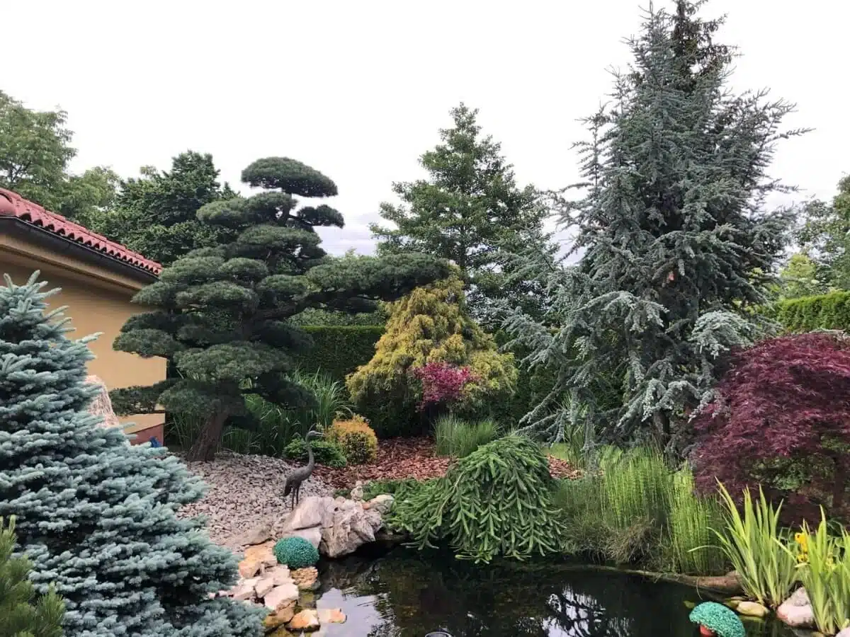 Japonská záhradka s jazierkom.