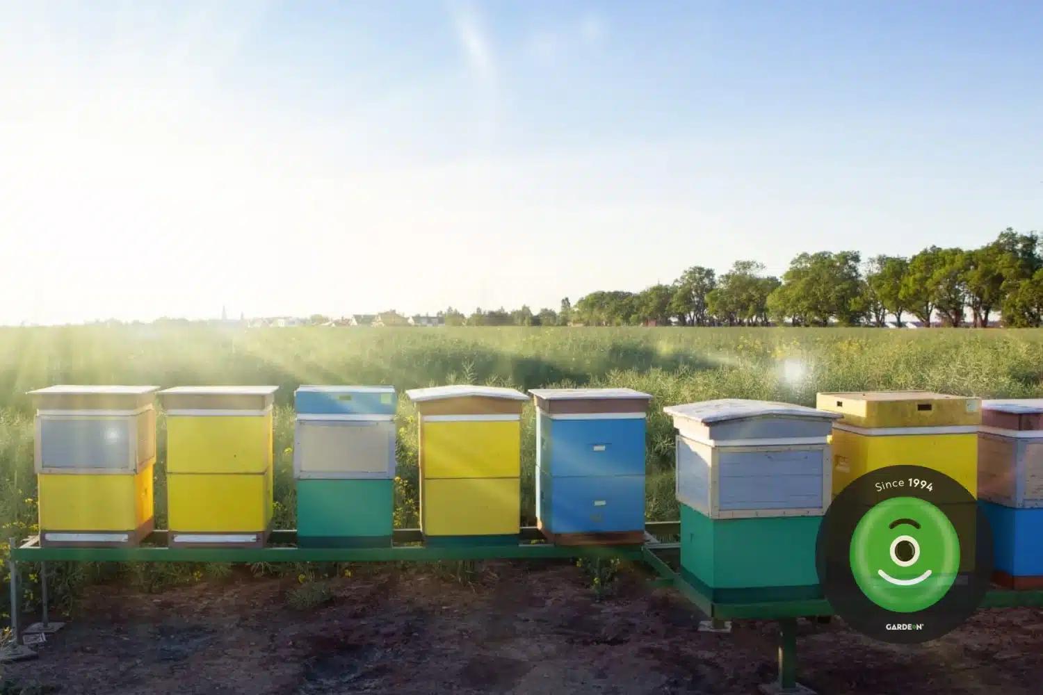 Farebné včelie úle na lúke.