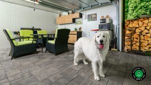 Z&aacute;hradn&yacute; domček s modernou gar&aacute;žovou br&aacute;nou a kuchynkou.